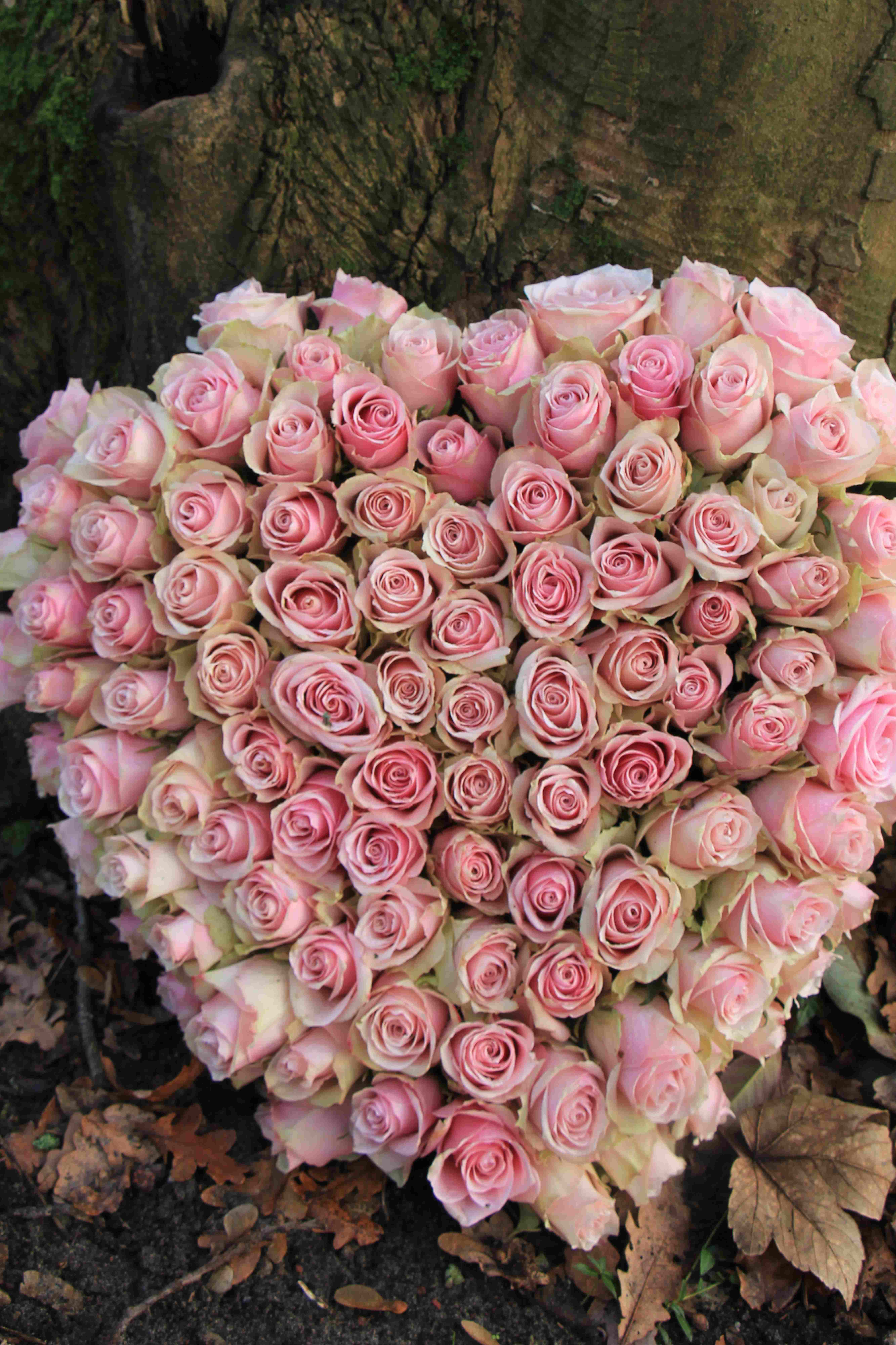 Sympathy Gifts