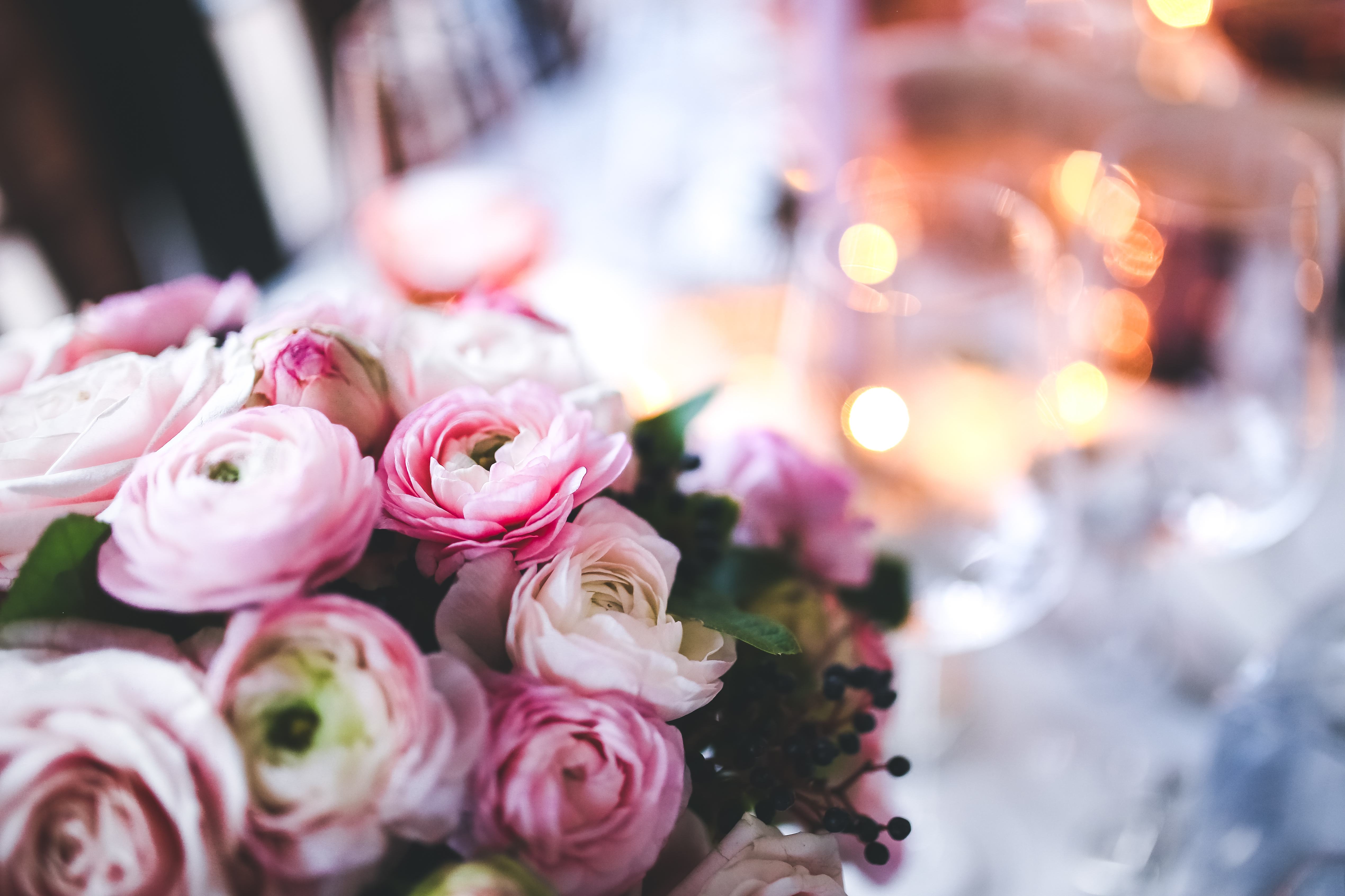 Special Occasions